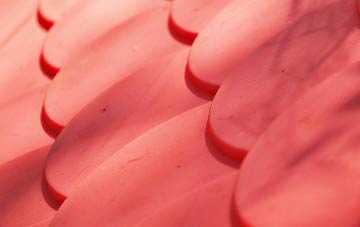 Southbourne plastic roof costs