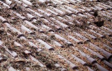 Southbourne roof cleaning companies